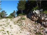 Col - Križna gora above Col